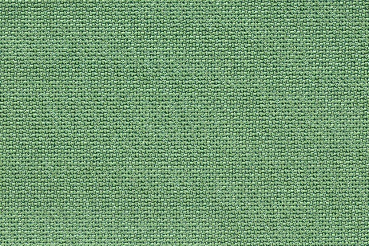 Повседневная босоногая обувь Wildling Tanuki для детей — Kibo, фото 4